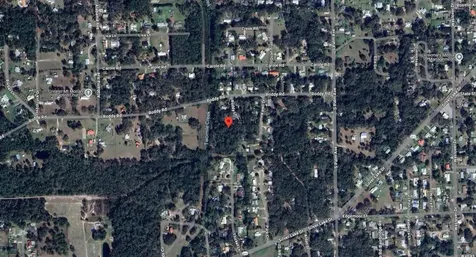 115 Roddy Lane Palatka FL 32177