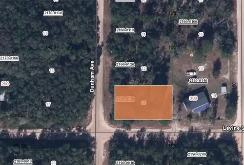 Xxx Levine Street Interlachen FL 32148