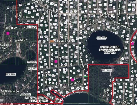 Xxx Levine Street Interlachen FL 32148