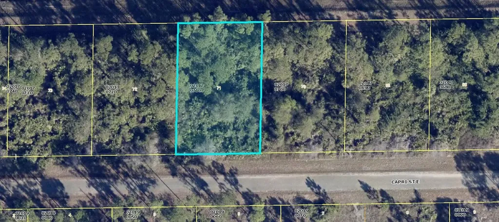 1113 Capri Street Lehigh Acres FL 33974