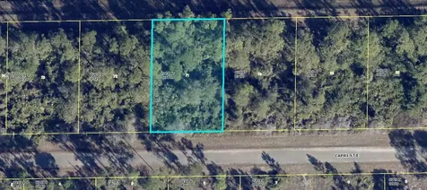 1113 Capri Street Lehigh Acres FL 33974