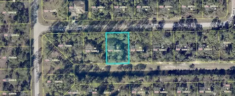 1214 Raphia Street Lehigh Acres FL 33974