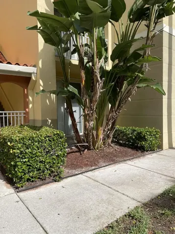 Palm Beach Gardens FL 33410