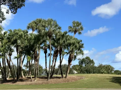 5 Westgate Lane Boynton Beach FL 33436