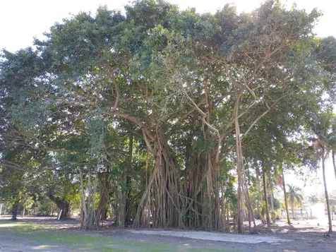 1100 D Road Loxahatchee Groves FL 33470