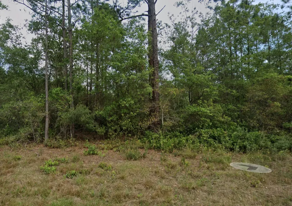 124 Roebuck Street Georgetown FL 32139