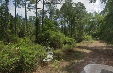 126 Roebuck Street Georgetown FL 32139