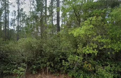 105 Glenside Street Georgetown FL 32139