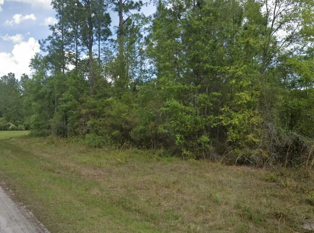 103 Glenside Street Georgetown FL 32139