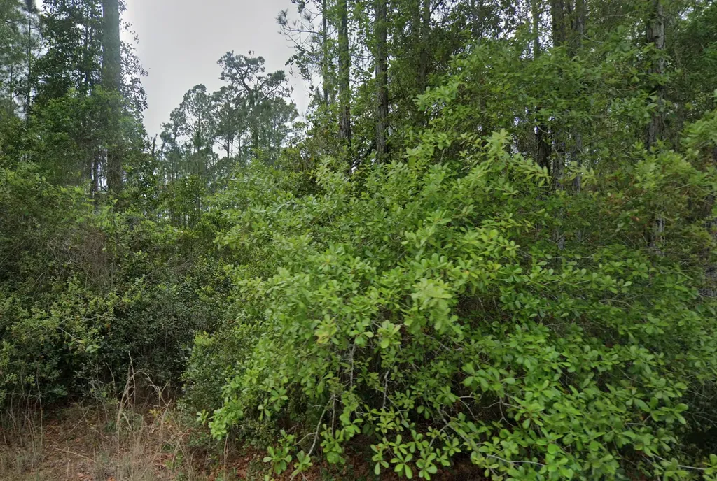 107 Glenside Street Georgetown FL 32139