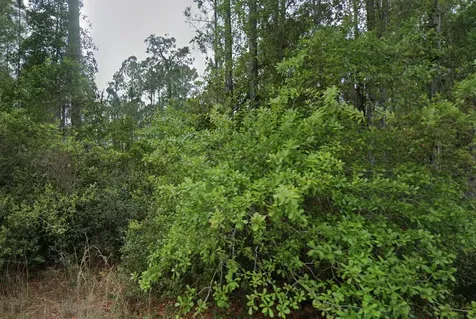 107 Glenside Street Georgetown FL 32139