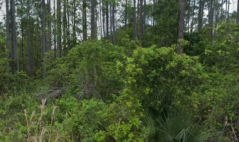 00 Glenside Street Georgetown FL 32139