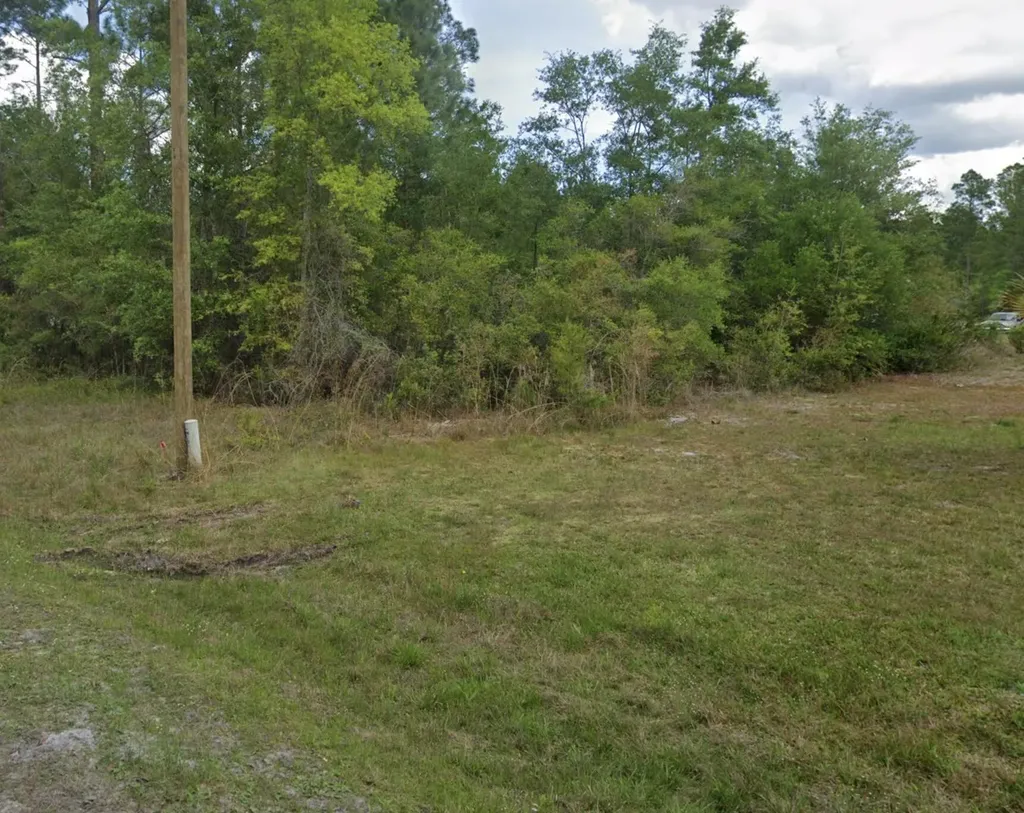 000 Roebuck Street Georgetown FL 32139
