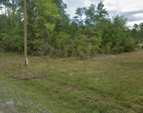 000 Roebuck Street Georgetown FL 32139