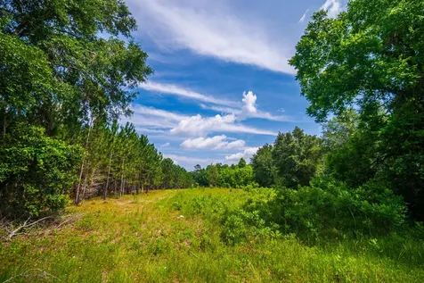 Tbd County Road 252 Wellborn FL 32094