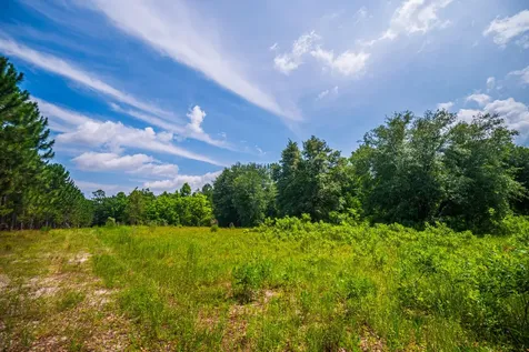 Tbd County Road 252 Wellborn FL 32094