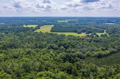 Tbd County Road 252 Wellborn FL 32094