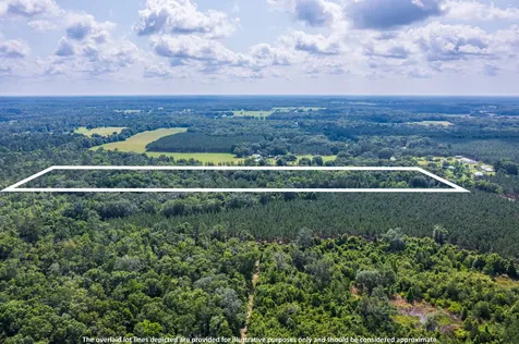 Tbd County Road 252 Wellborn FL 32094