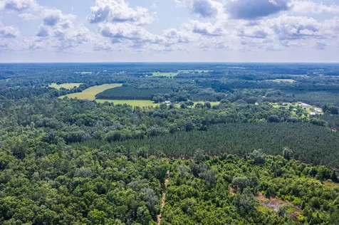 Tbd County Road 252 Wellborn FL 32094