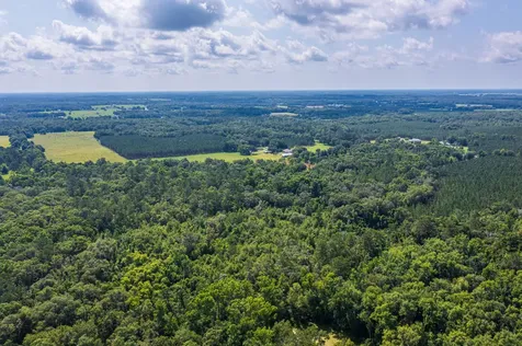 Tbd County Road 252 Wellborn FL 32094