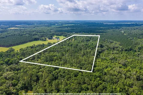 Tbd County Road 252 Wellborn FL 32094