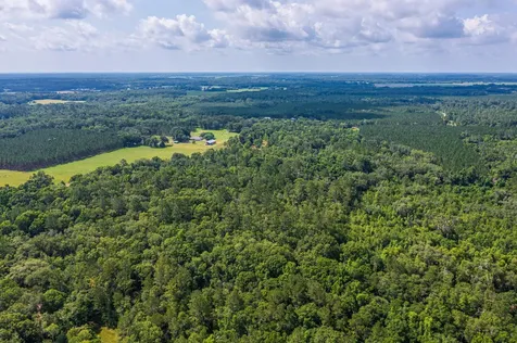Tbd County Road 252 Wellborn FL 32094