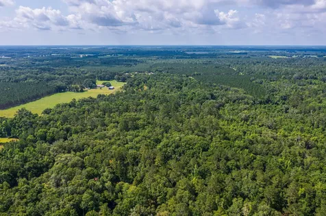Tbd County Road 252 Wellborn FL 32094