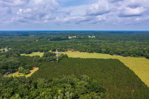 Tbd County Road 252 Wellborn FL 32094