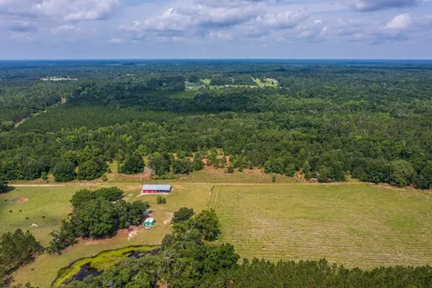 Tbd County Road 252 Wellborn FL 32094