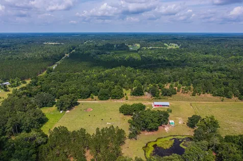 Tbd County Road 252 Wellborn FL 32094