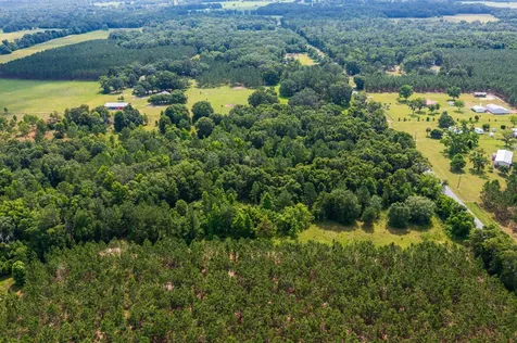 Tbd County Road 252 Wellborn FL 32094