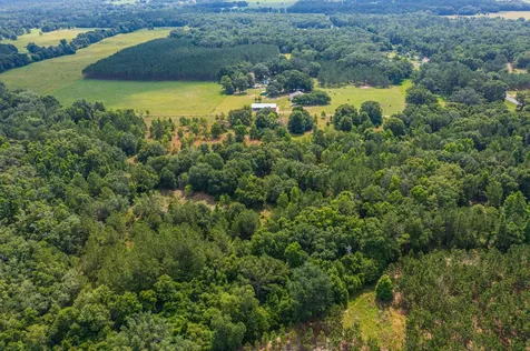 Tbd County Road 252 Wellborn FL 32094