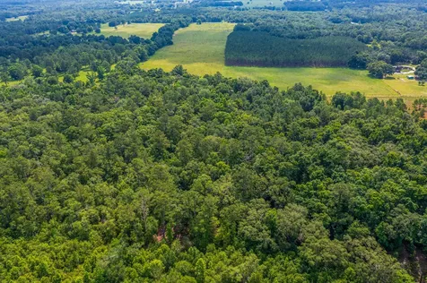 Tbd County Road 252 Wellborn FL 32094