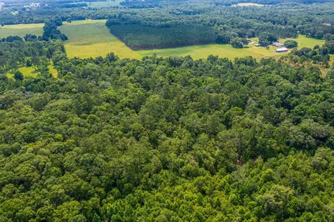 Tbd County Road 252 Wellborn FL 32094