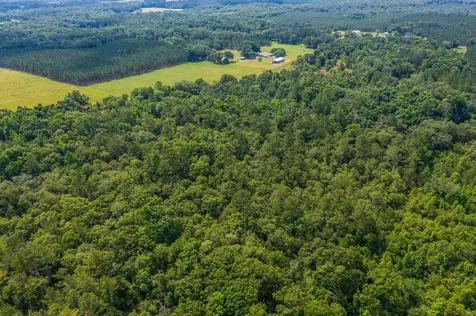 Tbd County Road 252 Wellborn FL 32094