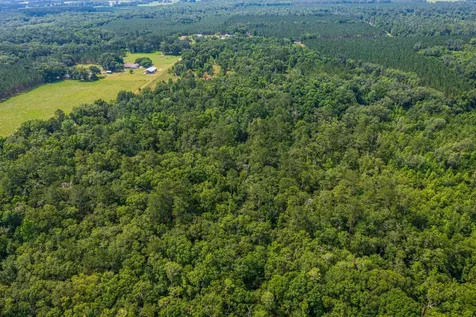 Tbd County Road 252 Wellborn FL 32094