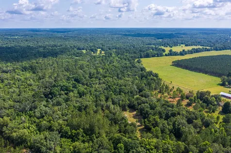 Tbd County Road 252 Wellborn FL 32094