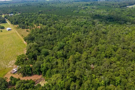 Tbd County Road 252 Wellborn FL 32094