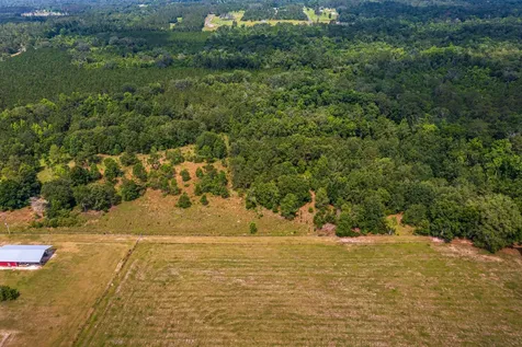 Tbd County Road 252 Wellborn FL 32094