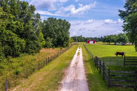 Tbd County Road 252 Wellborn FL 32094