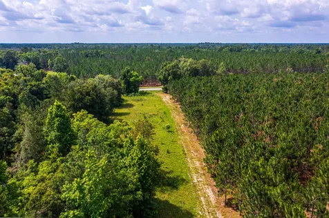Tbd County Road 252 Wellborn FL 32094
