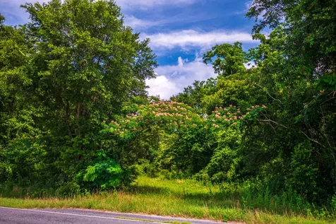 Tbd County Road 252 Wellborn FL 32094