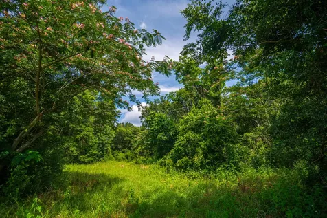 Tbd County Road 252 Wellborn FL 32094