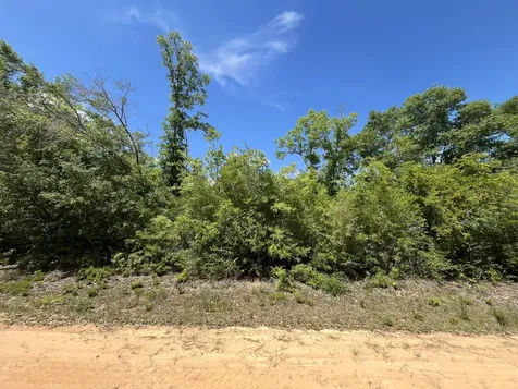 0 Hocking Street Alford FL 32420