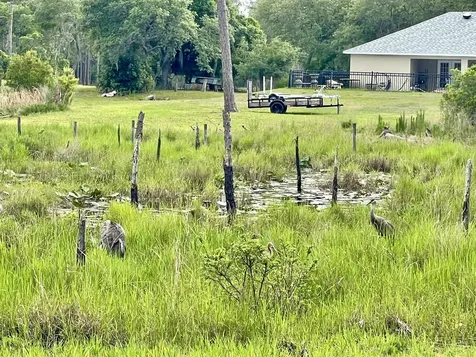 42111 Chinaberry Court Eustis FL 32736