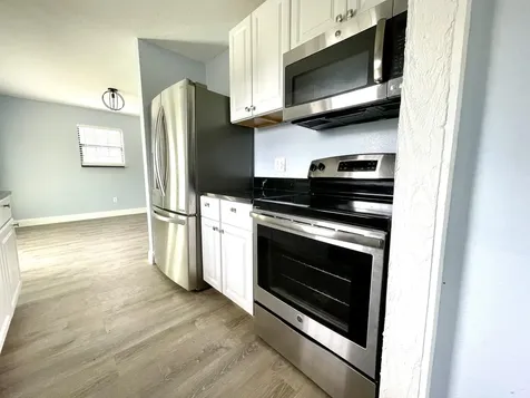 42111 Chinaberry Court Eustis FL 32736