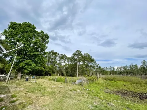 42111 Chinaberry Court Eustis FL 32736