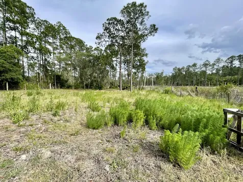 42111 Chinaberry Court Eustis FL 32736