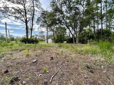 42111 Chinaberry Court Eustis FL 32736