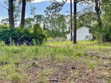 42111 Chinaberry Court Eustis FL 32736